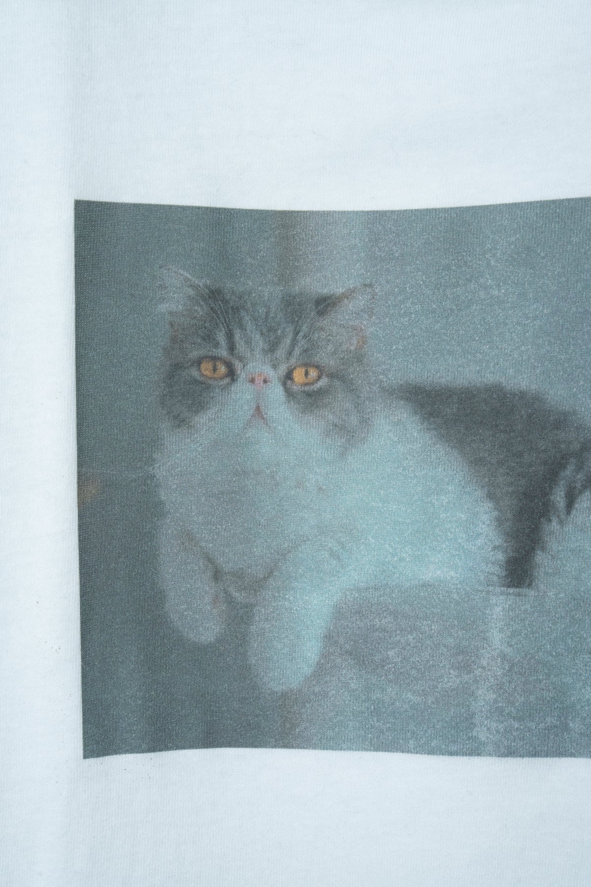MOZUKU T-Shirts